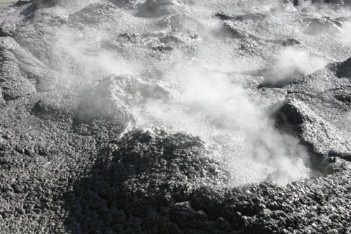 imagetest449